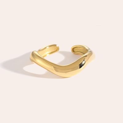 Fine Curves Edelstahl Ring