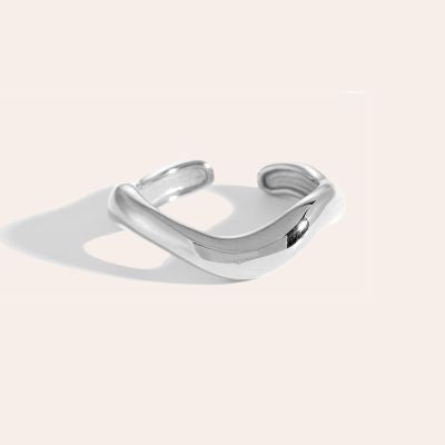 Fine Curves Edelstahl Ring