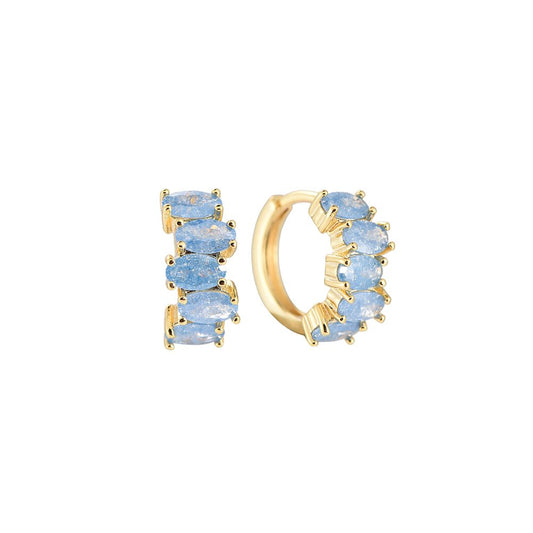 Glittering Color Hoop Plated Earrings