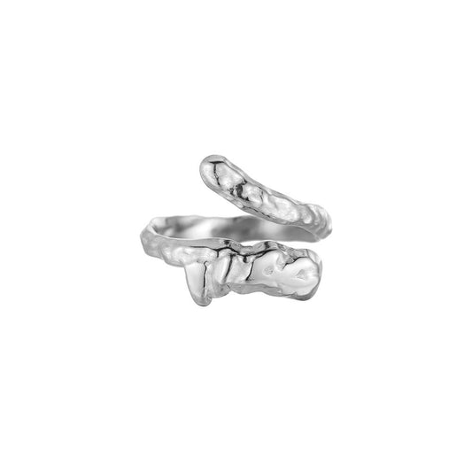 Flying Dragon Edelstahl Ring