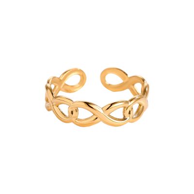 Infinity Edelstahl Ring