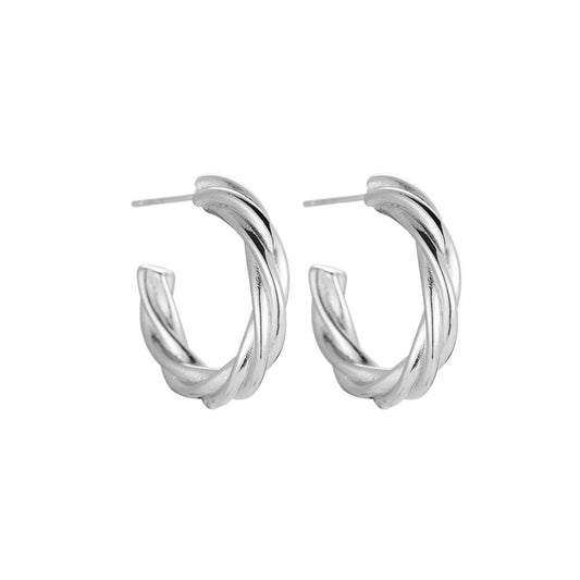 Big Fine Twist Stainless Steel Earrings