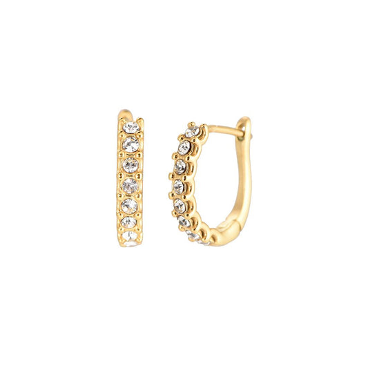 Bonita Classic Diamonds Stainless Steel Earrings