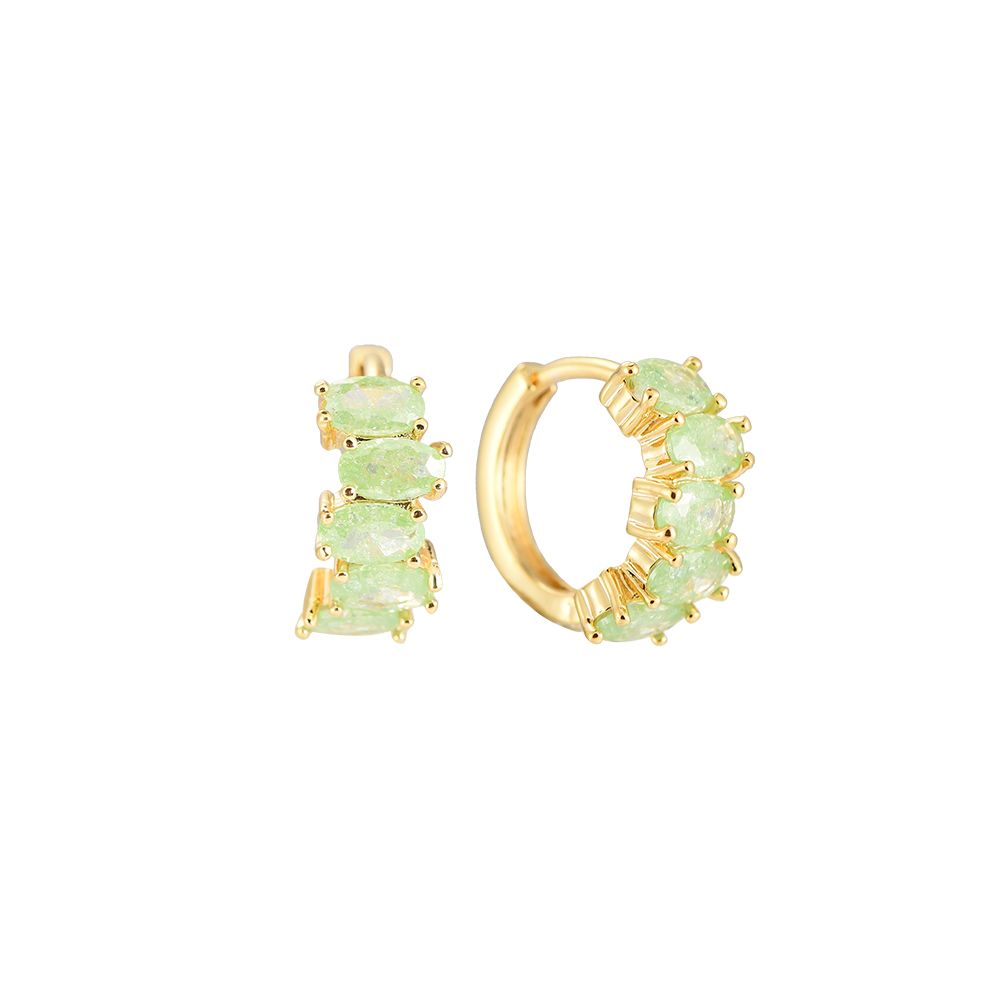 Glittering Color Hoop Plated Earrings
