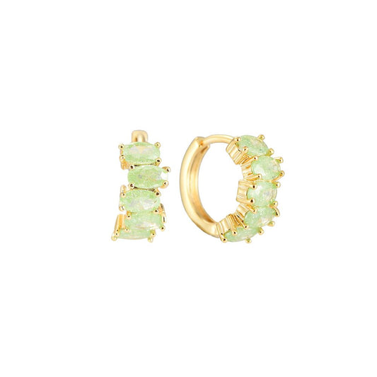 Glittering Color Hoop Plated Earrings
