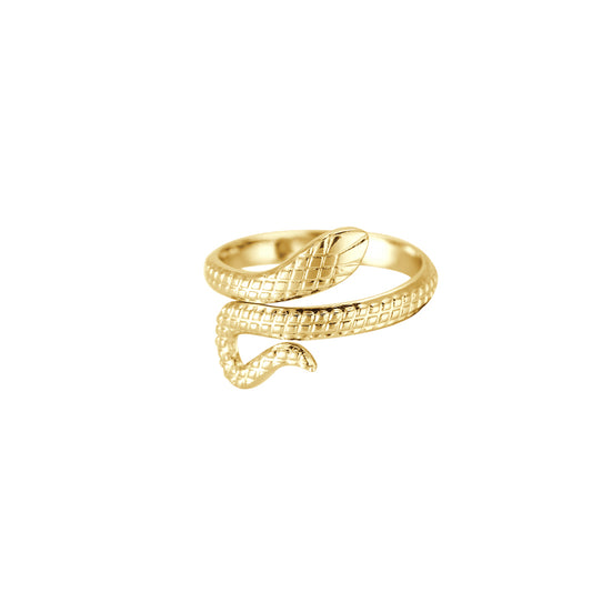 Whirling Snake Edelstahl Ring