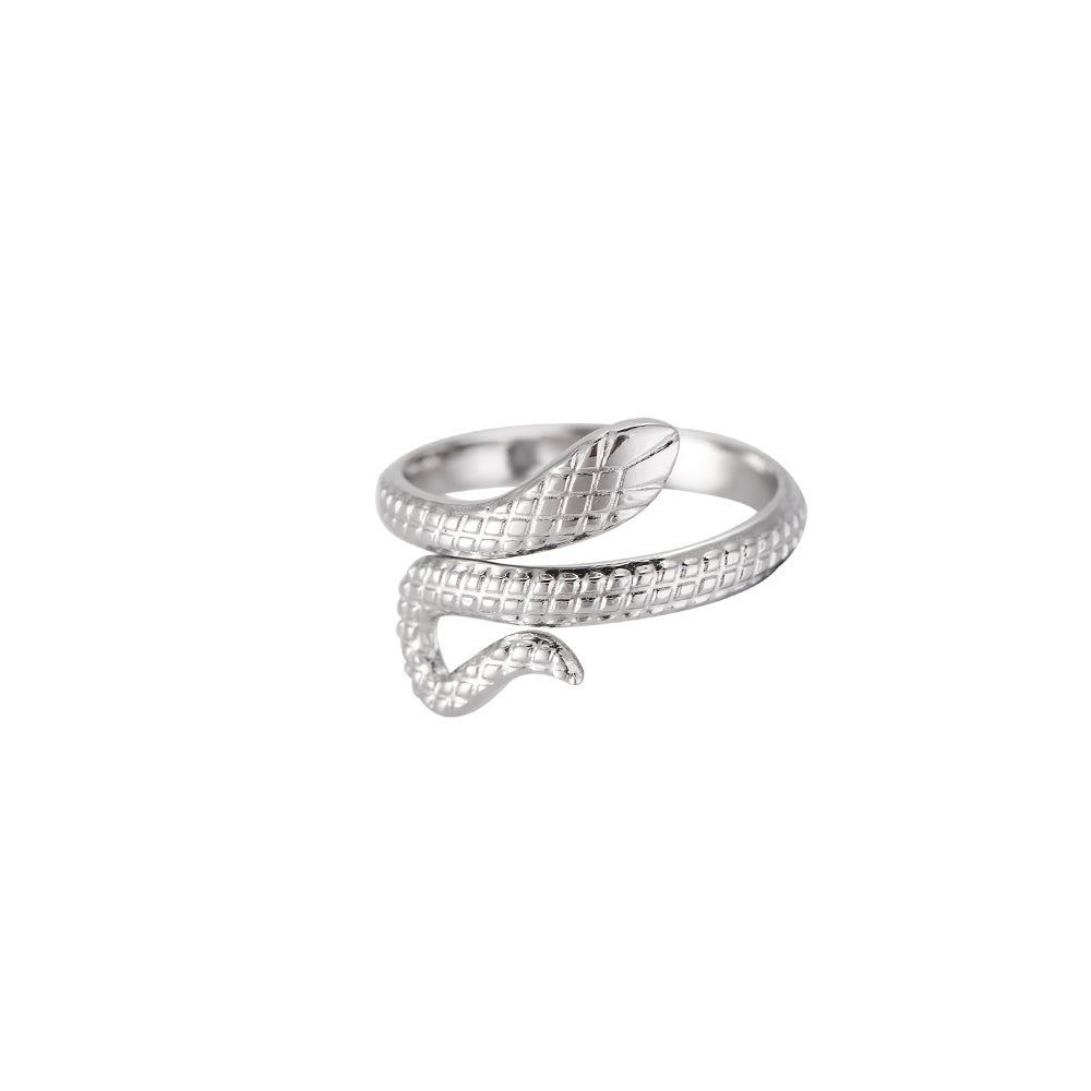 Whirling Snake Edelstahl Ring